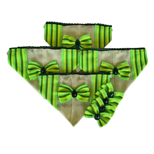 Bandana Pet Verde - Imagem 1